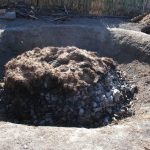 Roasting pit for maguey piñas