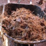 Mash post fermentation