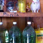 Mezcals at Palenque Roaguia