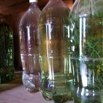 Mezcals at Palenque Roaguia