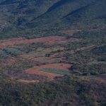 Agave fields visible from Hierve el Agua