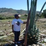 Beto Morales standing beside an arroqueño in the field