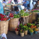 DSC03545
