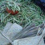 Beans at the Ayutla market