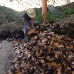 Roasted maguey, Mezcal Tosba