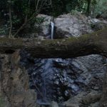 The water source, Mezcal Tosba
