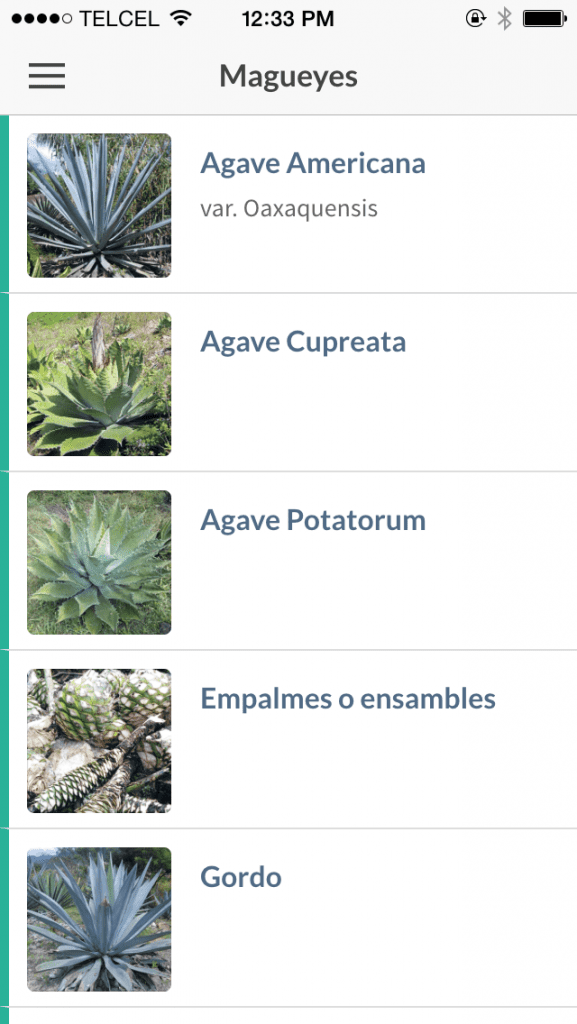 A screenshot from Ulises Torrentera's Mezcaleria app. 