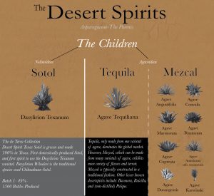 Genius Liquids' graphic explaining Sotol's relationship with agave spirits. 