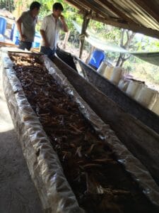 Wooden canoas for fermenting in Yutanduchi
