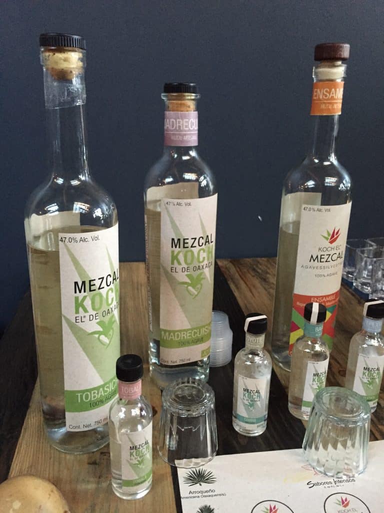 The Mezcal Koch line up