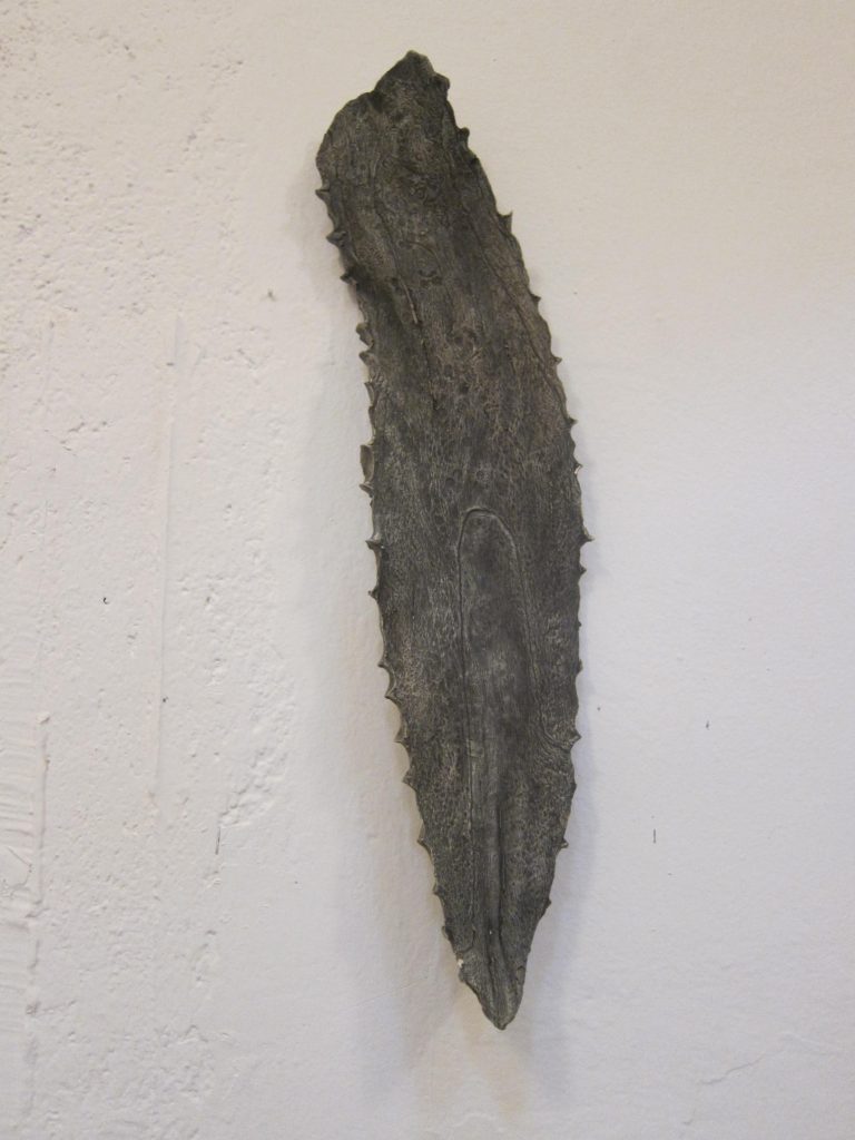 One of Omar Hernandez's cast pencas on the wall of his taller. 