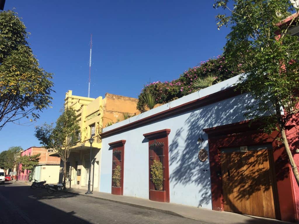 Just one of the beautiful roof gardens on Murgia.
