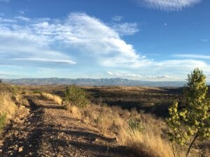 The Durango landscape