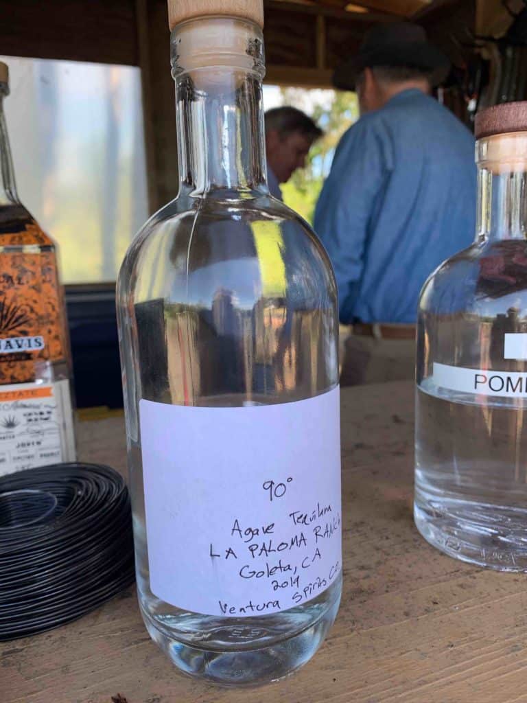 Ventura Spirits agave distillate