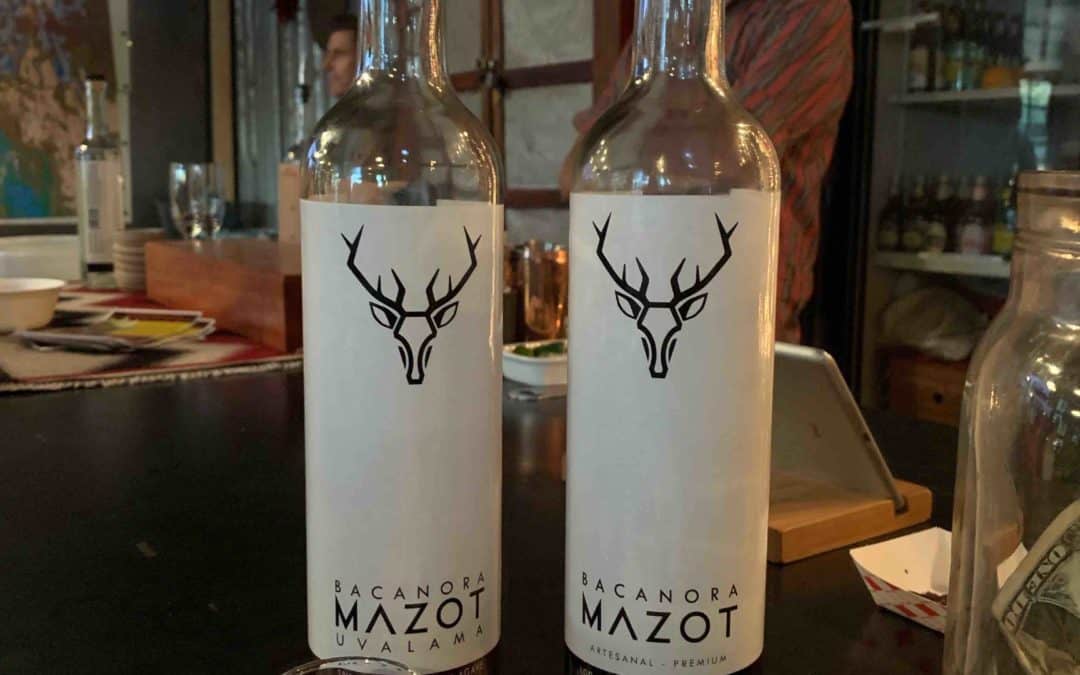 Bacanora Another great Mexican distilling tradition Mezcalistas