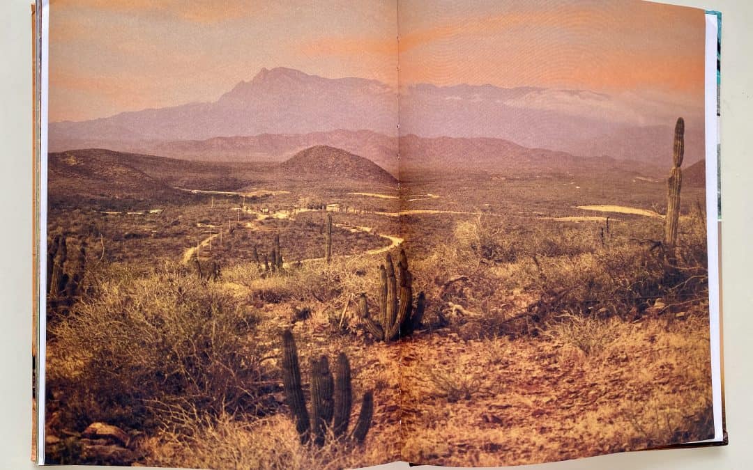 Quarantine Cookbook Series Part 2: The Baja California Cookbook