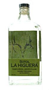 Sotol La Higuera Leiophyllum