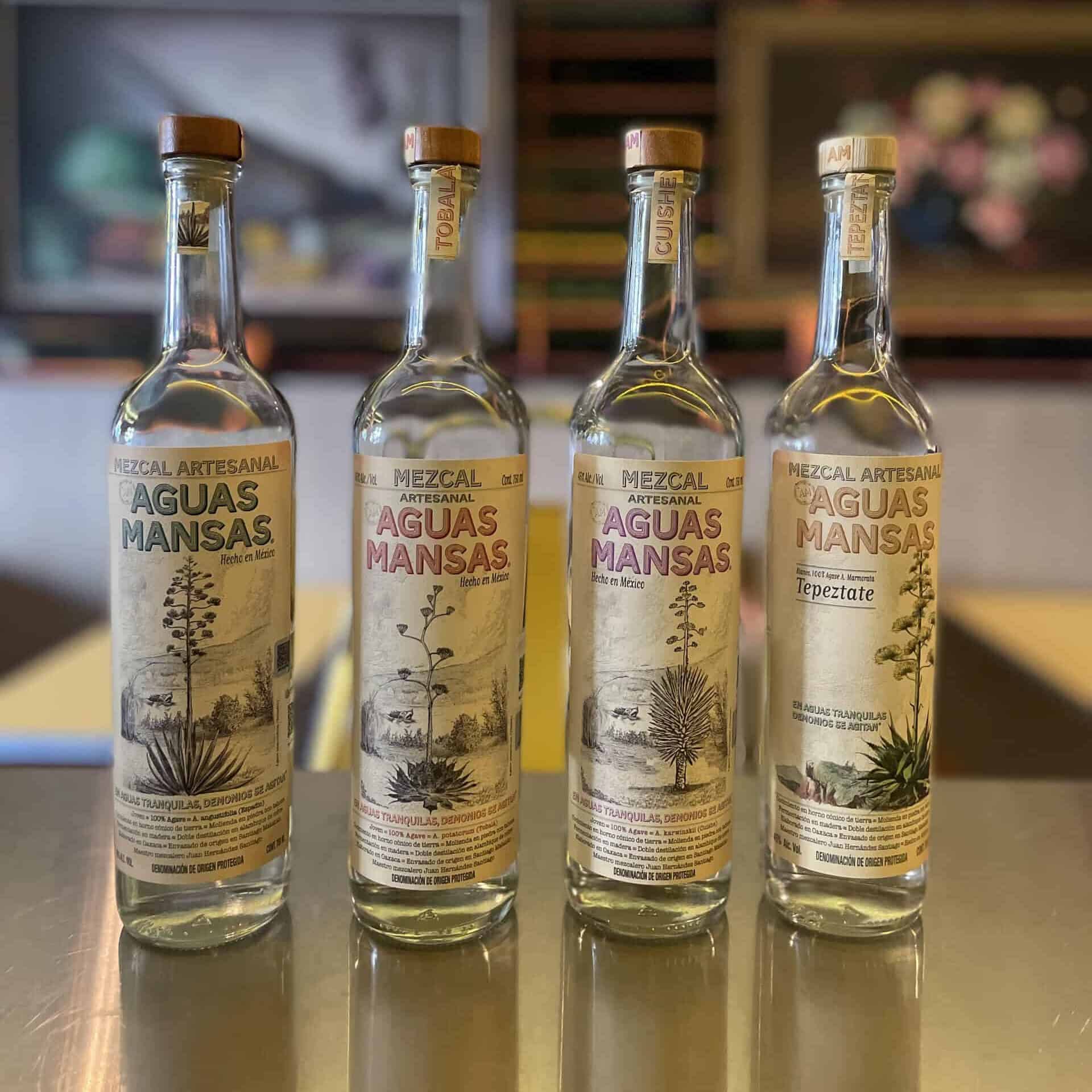 Aguas Mansas Oaxacan mezcal, including numerous types of agave. 