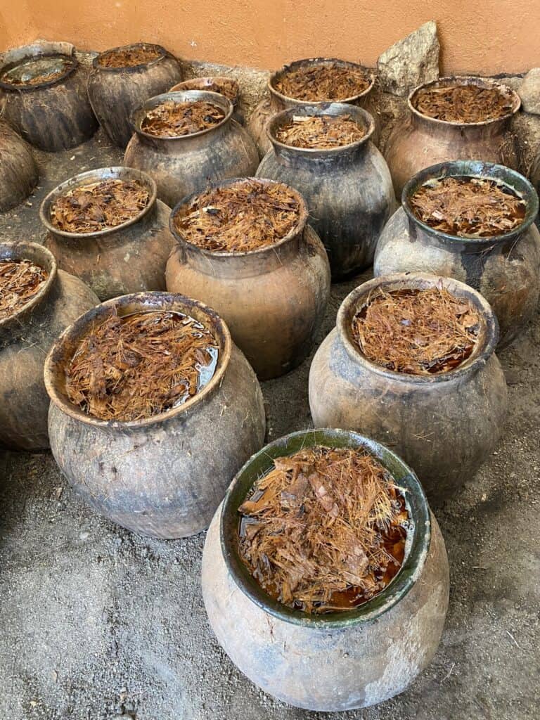 Clay pots full of fermenting agave. Clay pots can influence the flavor of mezcal.