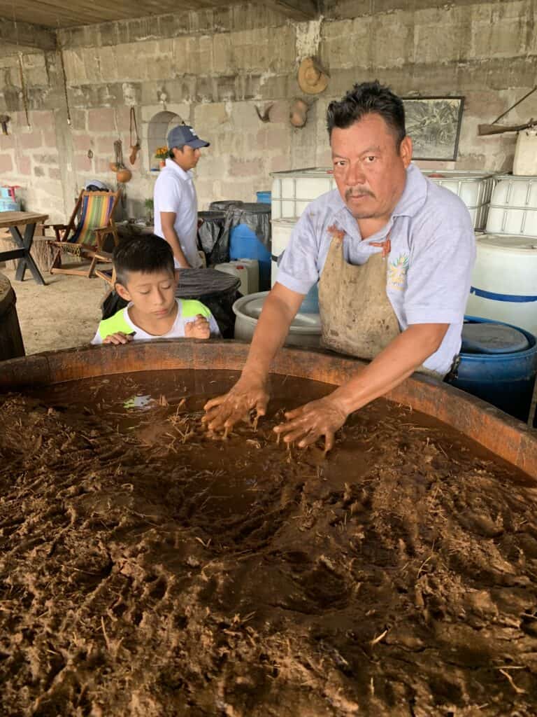 When mezcaleros put their hands in the mosto, this can influence the flavor of the mezcal