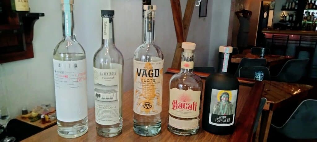 Raicilla and other agave spirits at one of the best Puerto Vallarta tequila tasting rooms